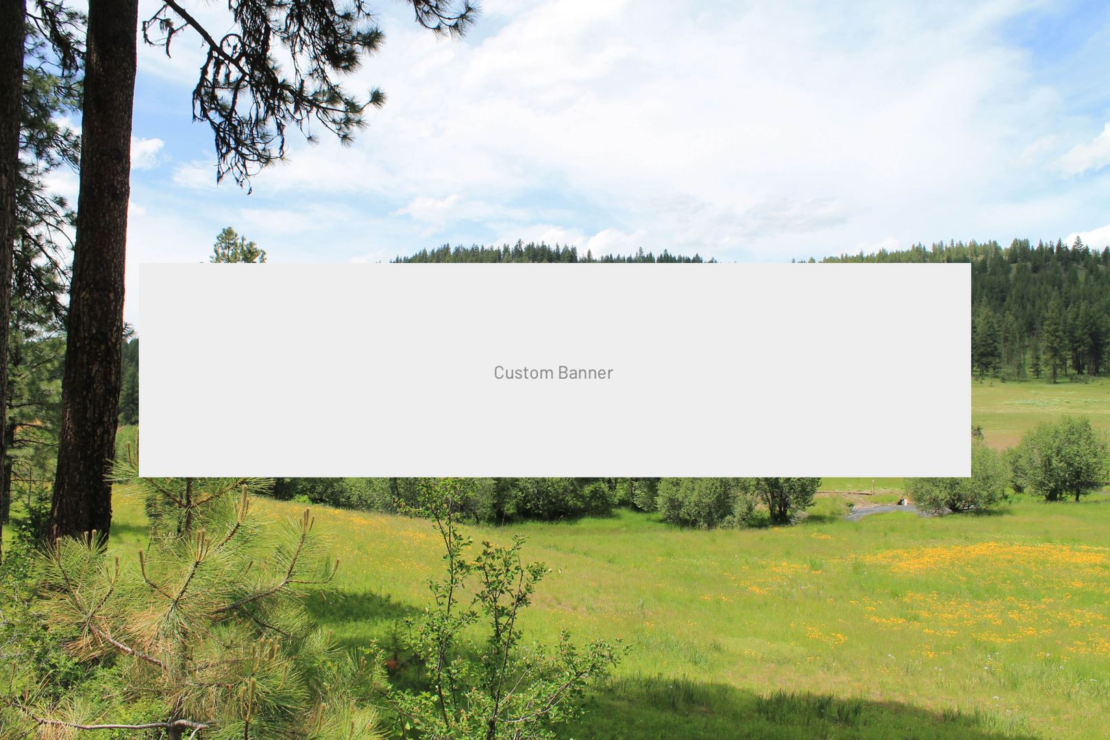 Teren de vanzare intravilan c - Poză 1