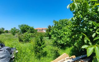 Lot pentru două case – Corbeanca Tamași - Poză 19