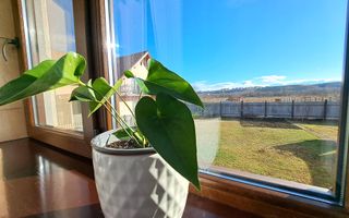 Casa spatioasa si utila,  5 camere, garaj, pivnita  - Sibiu - Poză 3