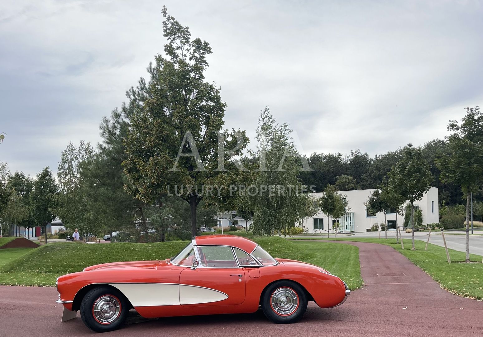 Dumbrava Vlasiei – Armonie între design, lumină și natură - Poză 11