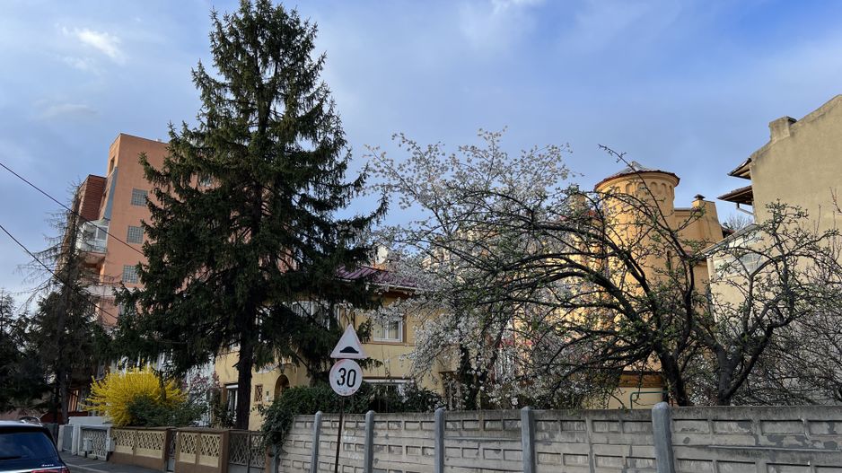 Vila Primaverii 300 mp utili teren 250 mp 2 apartamente - Poză 1