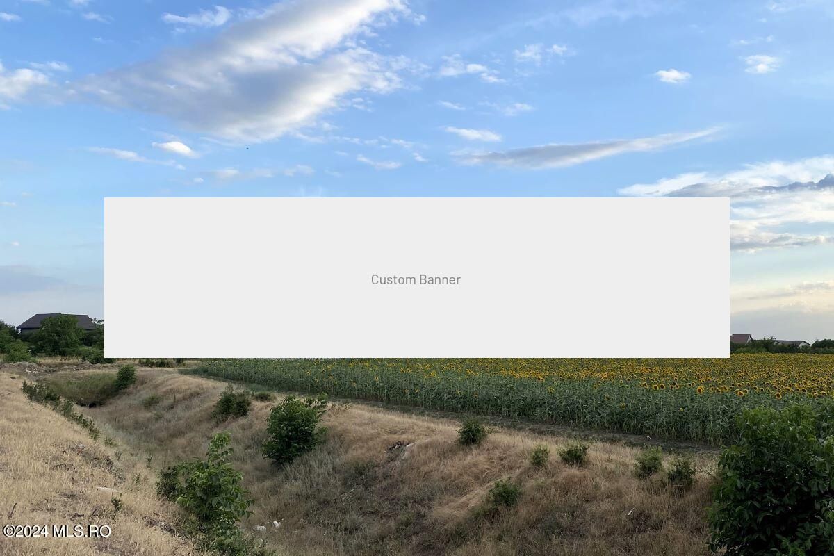 Tamasi, langa padure, 12.824 mp, deschidere 45 ml, teren cu potential - Poză 2