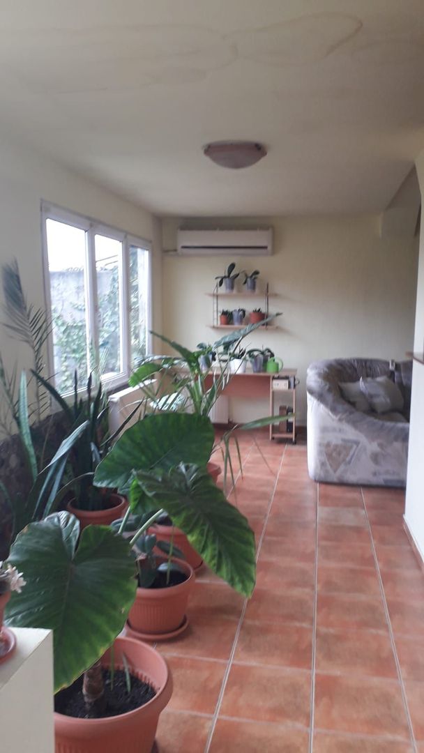 Casă individala cu etaj, având 2 apartamente separate în Timișoara - Poză 6