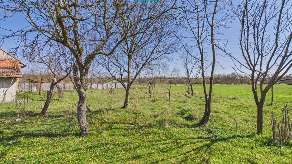 Casă cu teren generos de 6.000 m² - Poză 17