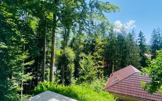 Vila Sinaia - Poză 13