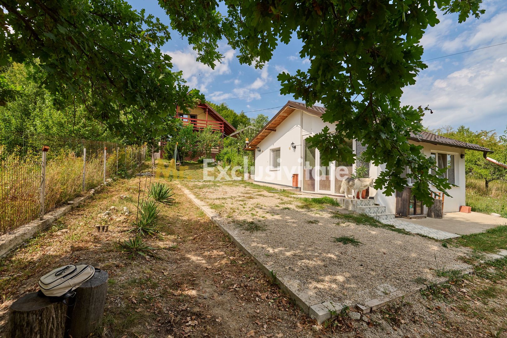 Doua CASE in aceeasi curte–BABANA, ARGEȘ | 1.485 MP TEREN - Poză 22