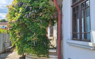 Casă/Vila interbelica de vanzare | Ploiesti, Ultracentral |Comision 0% - Poză 15