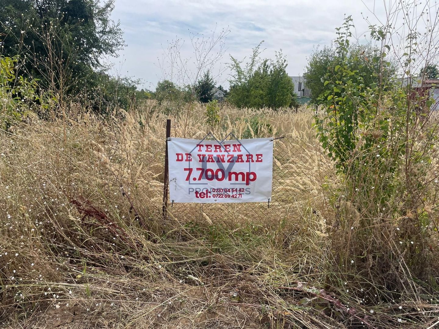 Vanzare 7700 mp Izvorani - Poză 2