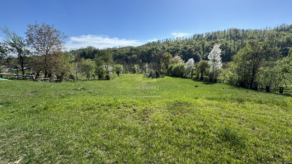 TEREN INTRAVILAN 2592 MP,  ALBESTI DE MUSCEL, ARGES - Poză 9