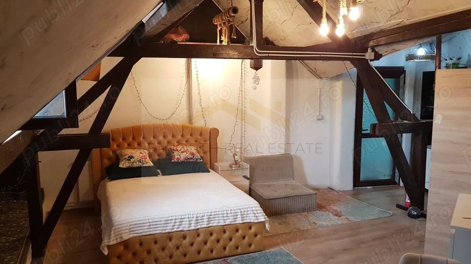 Aartament 5 camere de inchiriat in vila et 2, Parc Carol, Unirii-Tineretului - Poză 2