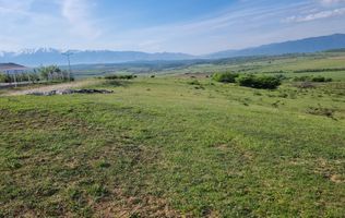 TEREN  EXTRAVILAN 2000 MP ÎN DAIA - BAVARIA | DEALUL 2 | PRIVELIȘTE