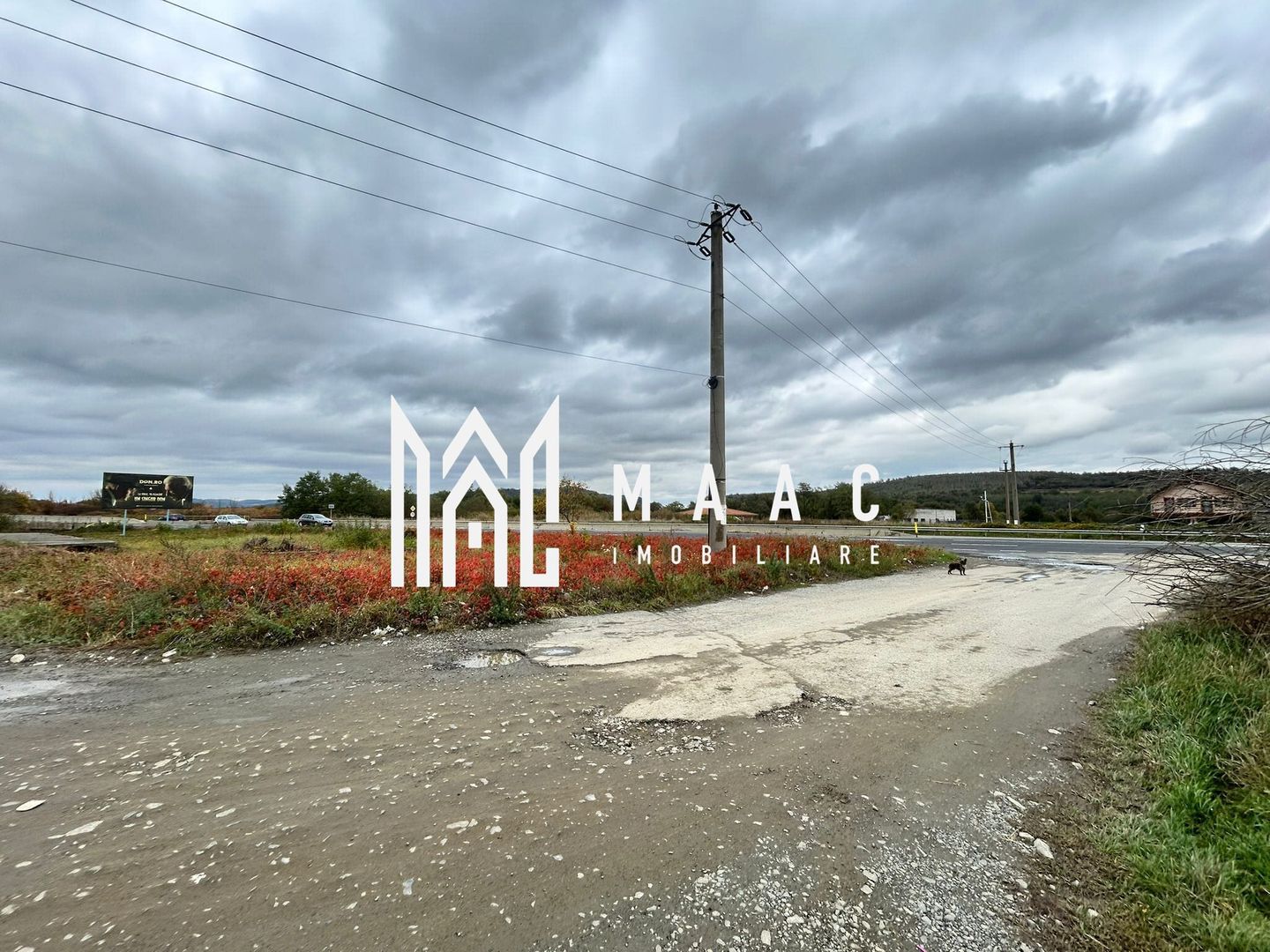Teren extravilan | 3700 mp | Deschidere la DN | Intrare Vestem – Sibiu - Poză 5
