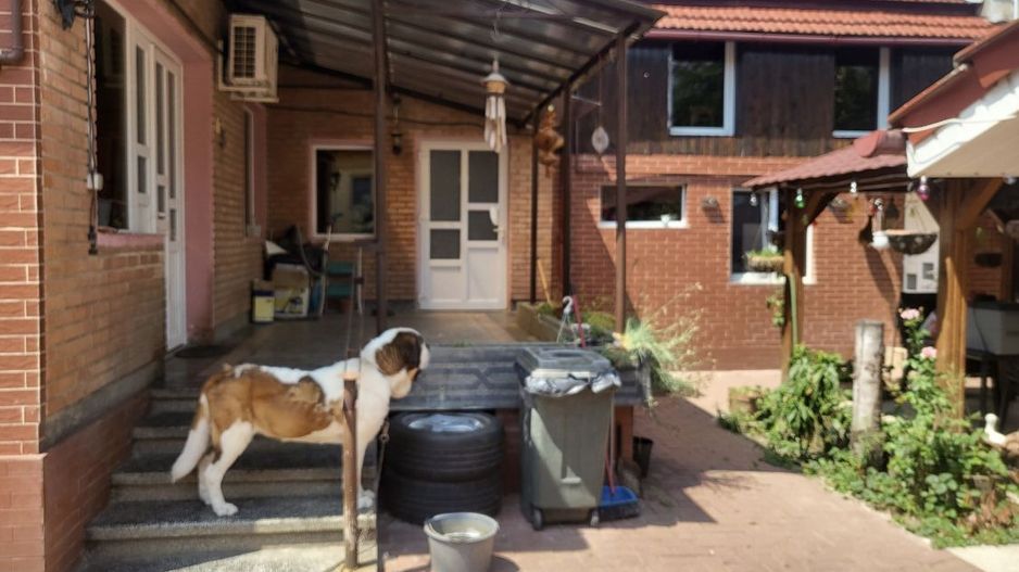 BRASADAS vinde casa individuala 3 camere în zona 14 Mai. - Poză 1