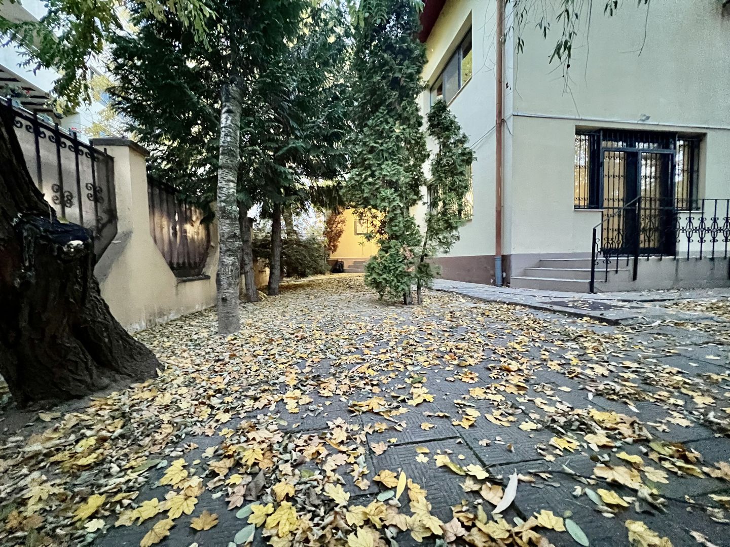 Vilă elegantă 4 camere  | Cartierul Francez / Herastrau - Poză 19