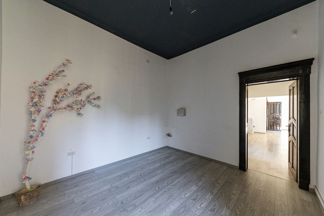 Apartament 196 mp, cu 5 camere, în zona istorică Iosefin - Timisoara - Poză 6