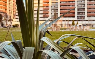 Apartament 4 camere 138mp Copou - Aleea Sadoveanu - Poză 27