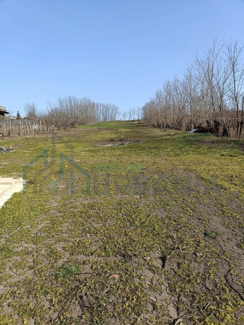 Casă renovată, Romanesti, Iași – 3 camere, 50 mp utili, teren 3240 mp - Poză 14