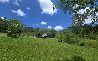 Teren | 2946MP | Priveliște Panoramică | Râu Sadului - Poză 6