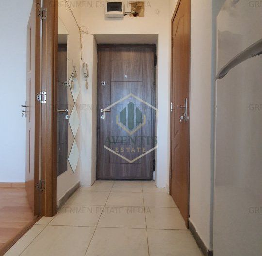 Renovat recent, bloc reabilitat, lift schimbat, Gara de Nord Dinicu Golescu - Poză 15