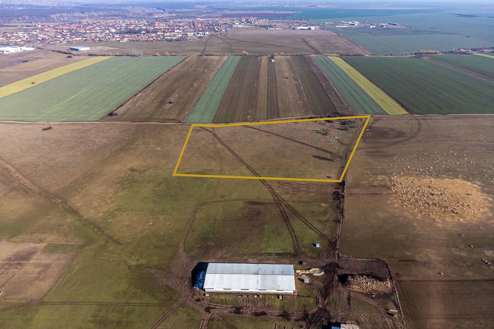 Teren agricol extravilan cu potențial de dezvoltare – 41.600 mp – Arad - Poză 3