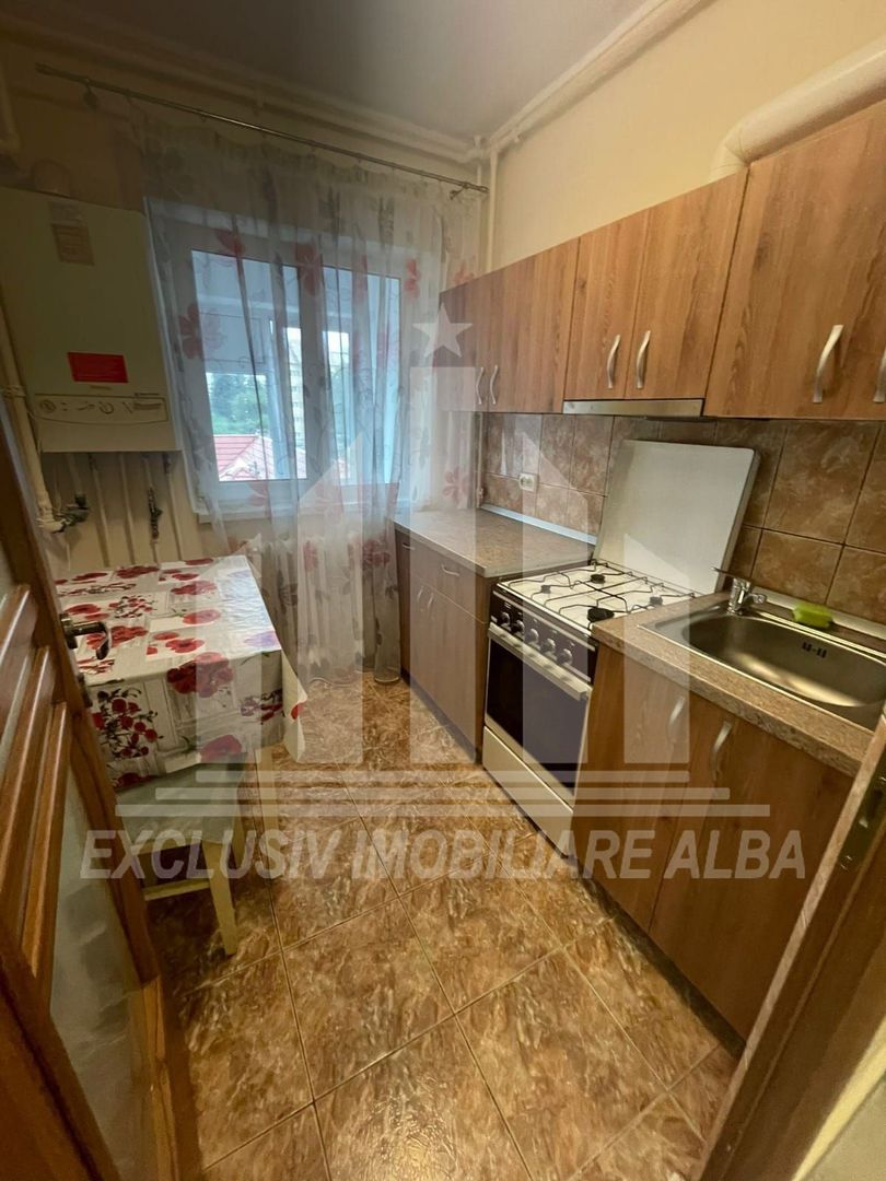 Apartament cu o camera in Cetate - Poză 4