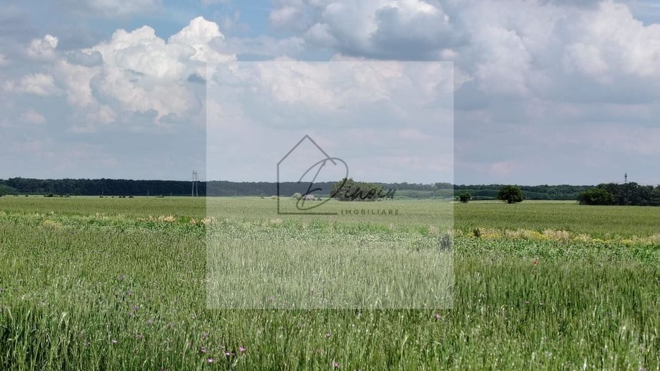 Casa Ciocanesti Cretu - 2 camere cu teren 2539 mp  - Jud. Dambovita - Poză 28