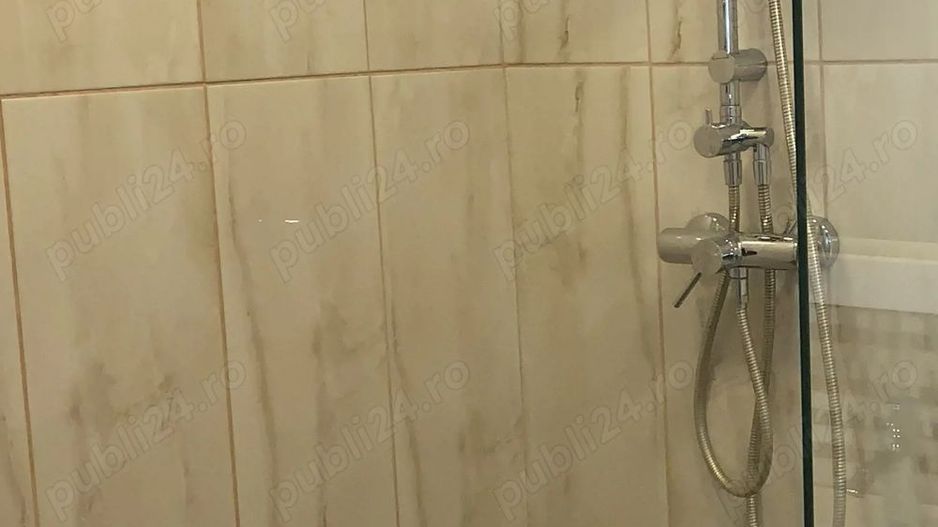 APARTAMENT LUMINOS RENOVAT LUX ZONA TINERETULUI - Poză 5