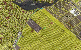 Teren pentru Construcție – Dumbrava/Buiucani, Zona Nouă - Poză 2
