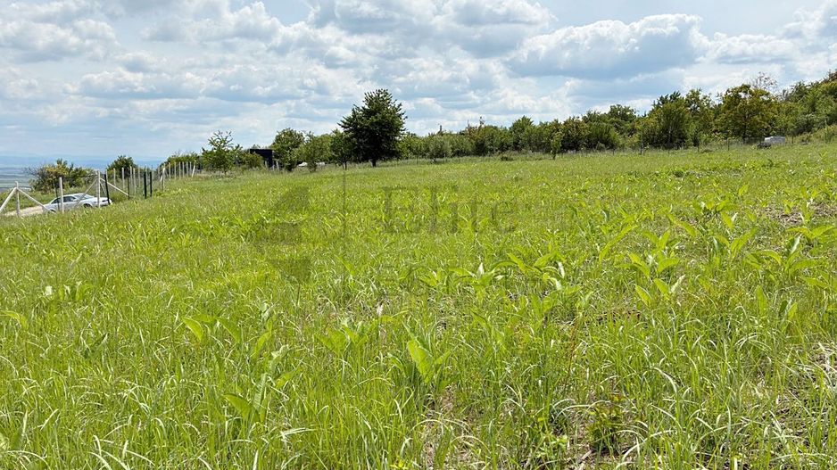 Teren 9461 mp cu panorama in Cartierul Podgoria din Oradea - Poză 5