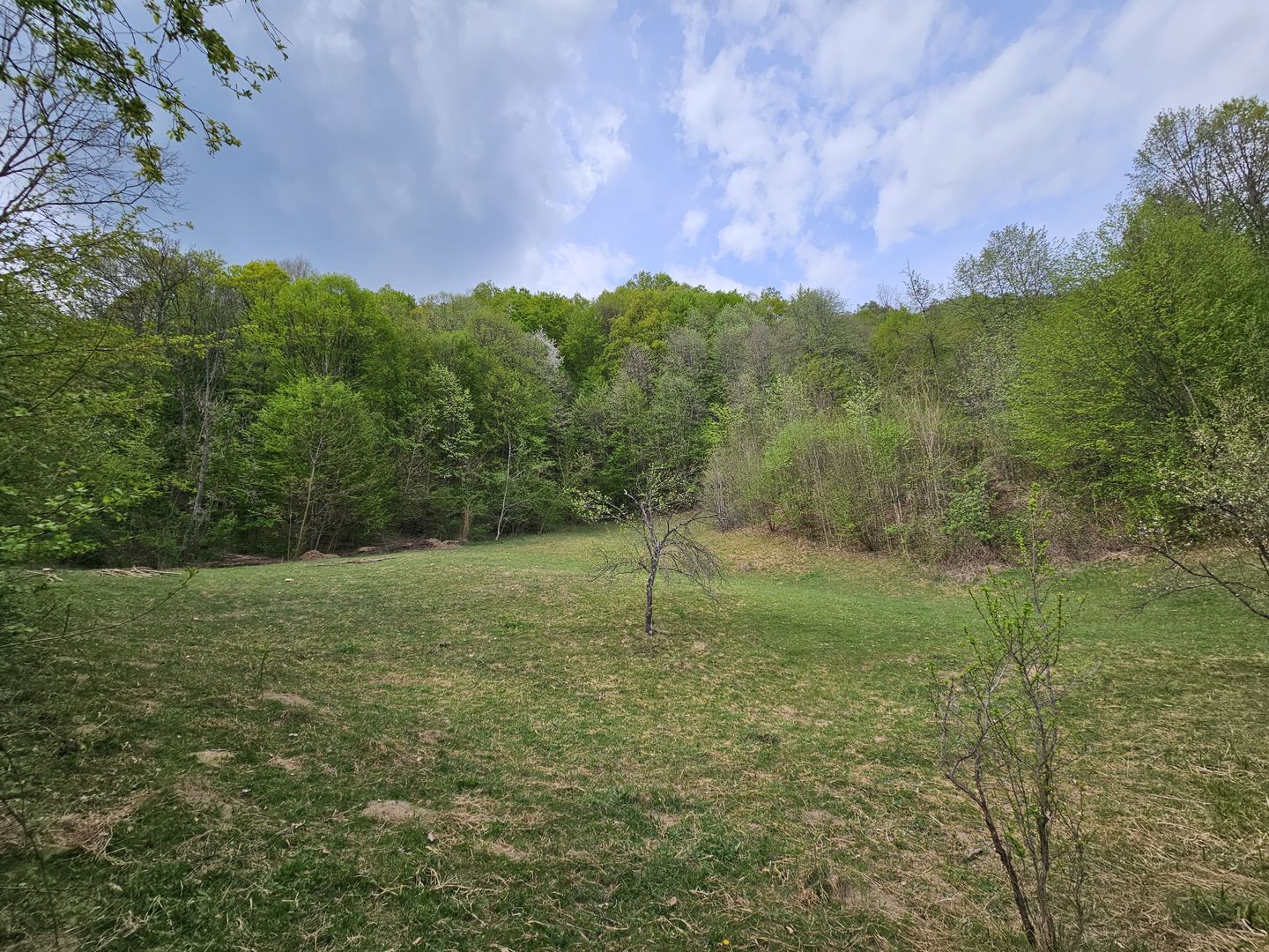 Teren intravilan 1454 mp la marginea padurii zona locuita de case! - Poză 4