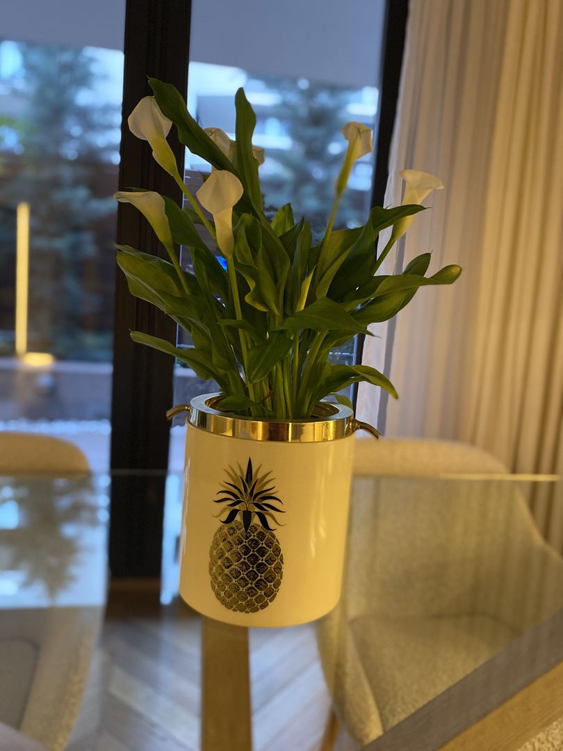 Nordului Herastrau 4 camere grădină proprie la 150m de parc - Poză 5