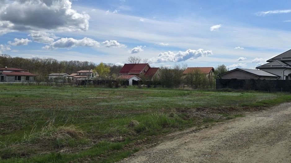 Teren Snagov Ciofliceni cu  pădurea la vedere - Poză 6