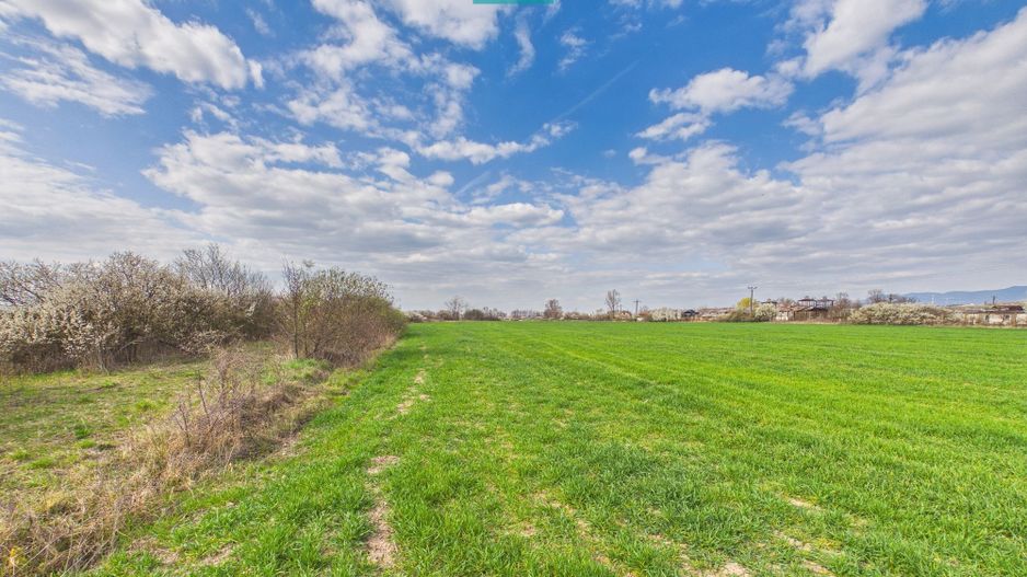 Teren extravilan, 1 ha, în orașul Sebiș, Arad - Poză 6