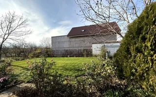 Proprietate impresionanta de vanzare cu mult teren in Santandrei - Poză 32