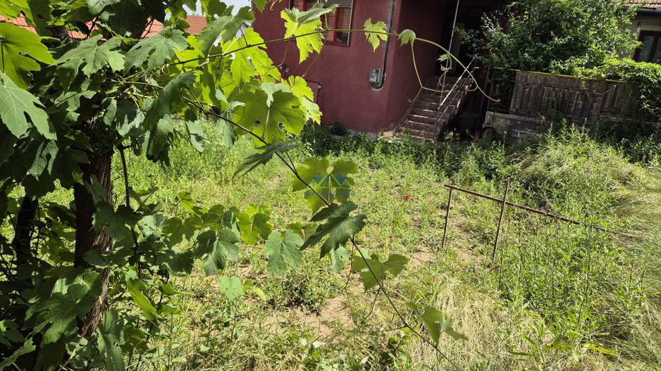 Vand casa 3 camere, garaj, curte, baie si buc, zona Gh. Apostol, 277mp - Poză 3