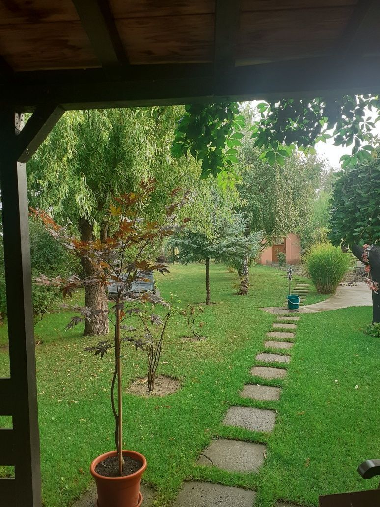 BRASADAS vinde casa cu 6 camere si teren 1200mp în Amati. - Poză 4