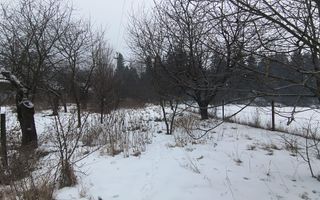 CASA DE VANZARE + ANEXE 2500 MP / PUTNA - Poză 14