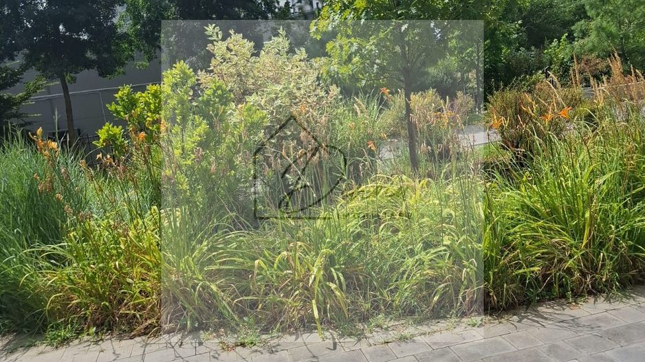 Apartament 3 camere Aviatiei Park I Promenada I COMISION 0% - Poză 10