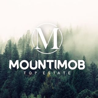 Zmuncila Tudor - Mountimob Top Estate