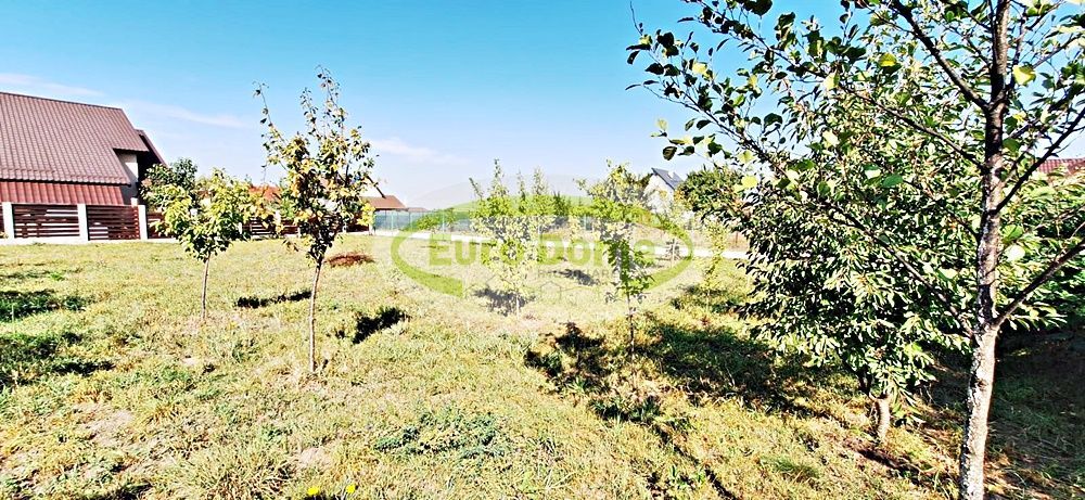 Gradina de 627mp cu utilitati, la intrare in Bod dinspre Sanpetru, 37500 euro - Poză 14