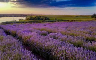 Teren 1001 mp intravilan Fundulea pe malul lacului - Poză 6