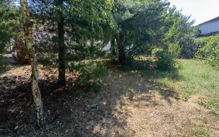 Spatiu industrial zona Sud-Arad - Poză 29