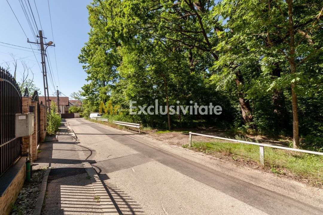 Casa P+M langa Padurea Trivale - Poză 15