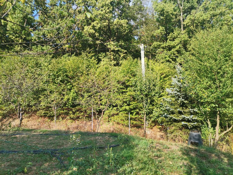 Vanzare teren intravilan Pitesti, strada Zamfiresti - Poză 7