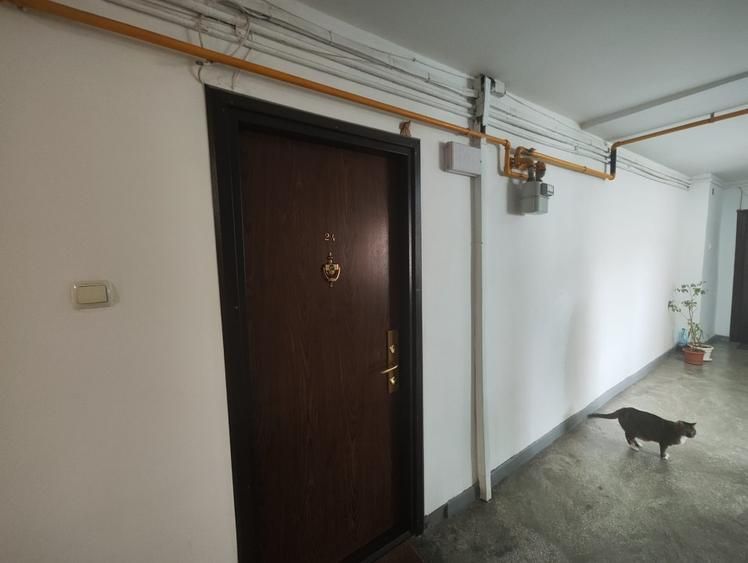 Vanzare Apartament 2 camere , 65mp, bloc 1990– 2 minute Metrou Costin Georgian - Poză 14