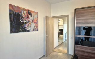 Apartament 2 camere Unirii, PET FRIENDLY,  2 balcoane, Centrala - Poză 6