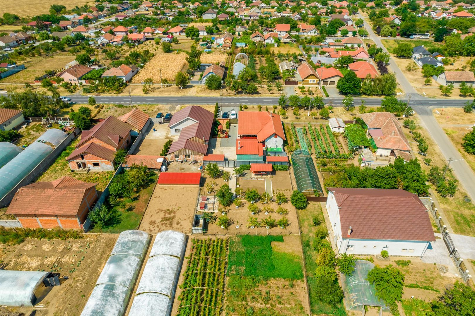 Casă spațioasă la sol în Macea - Poză 39