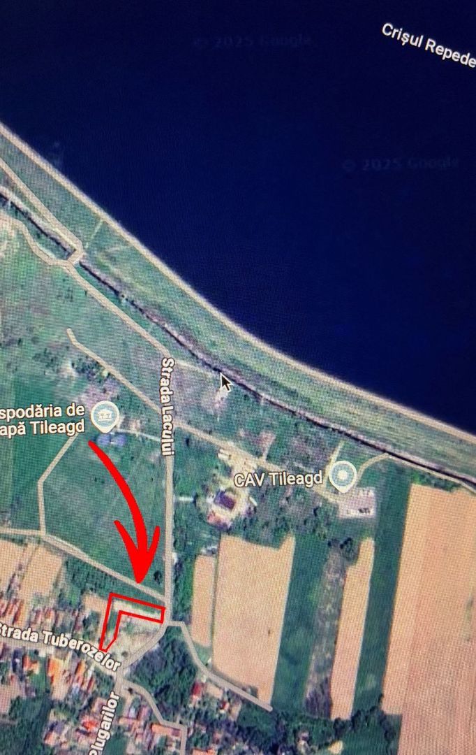 Teren 1637 mp cu 2 containere amenajate langa Barajul Tileagd - Poză 8