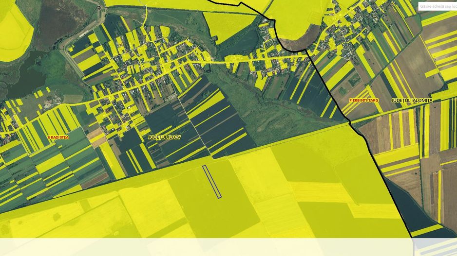 GRADISTEA - Sat Sitaru - Tarla 43, 11.500 mp. teren ideal investitie - Poză 2
