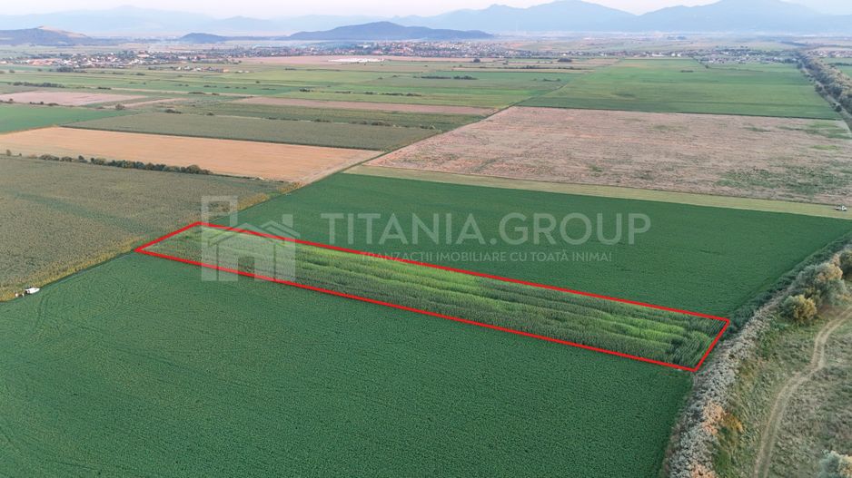 Teren extravilan, 8700 mp, pretabil agricultură sau investiție - Bod - Poză 1